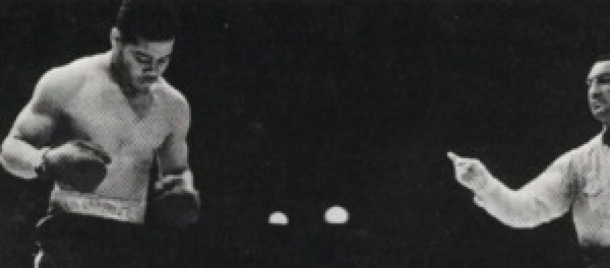 image photogallery