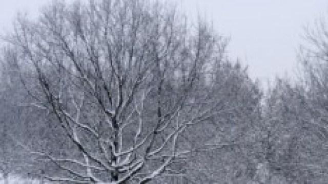 Previsioni meteo autunno inverno 2014/2015