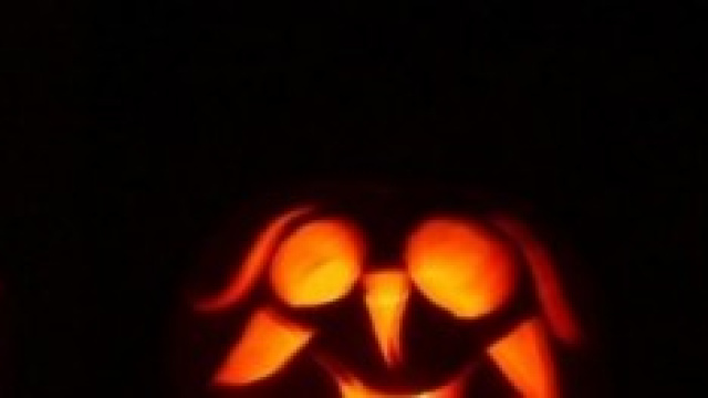 Halloween 2014, idee per costumi low cost