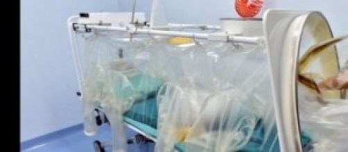 Ebola, protocolli di sicurezza e ospedali italiani