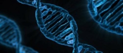 Rappresentazione del DNA umano