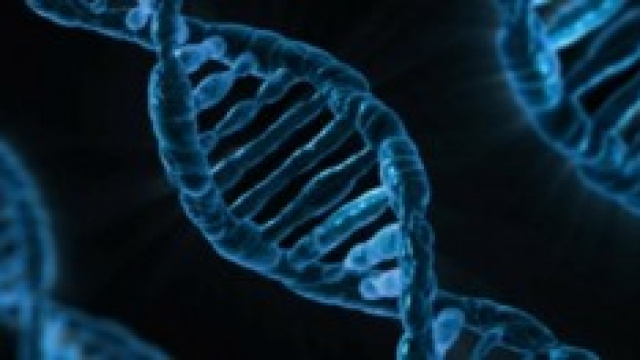 Rappresentazione del DNA umano