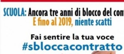 Scuola, docenti, boom firme per #sbloccacontratto