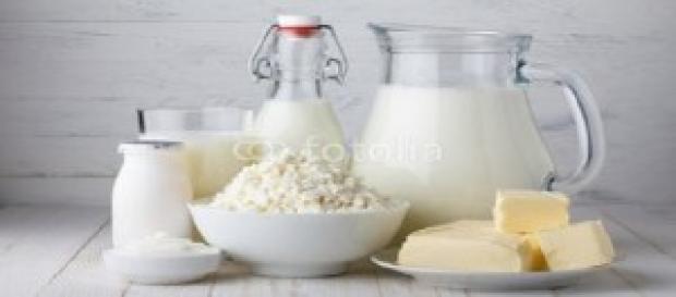 El excesivo consumo de leche es perjudicial El excesivo consumo de leche es perjudicial