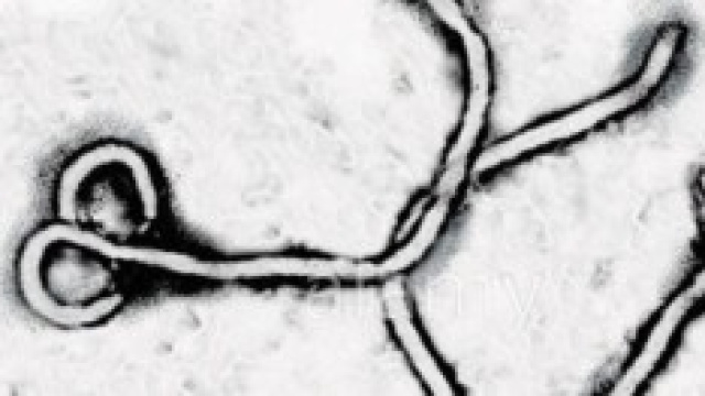 Emergenza Ebola in Europa