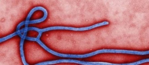 Ebola, il virus in Europa: Italia a rischio?