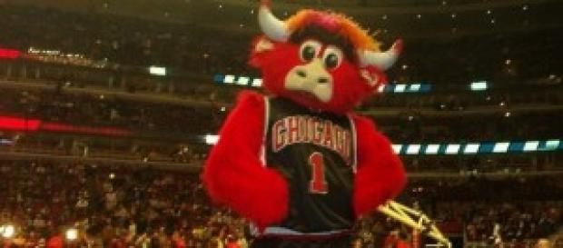 Benny Bull, mascota del equipo. Benny Bull, mascota del equipo.