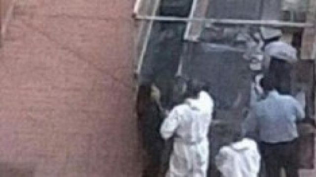 Ipotetico prelevamento il cane by Twitter