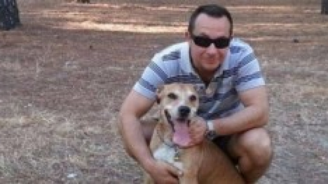 Salviamo Excalibur by Change.org