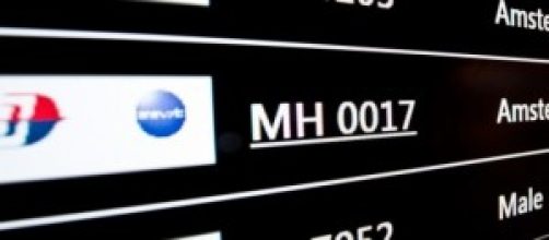 Un passeggero del volo MH17