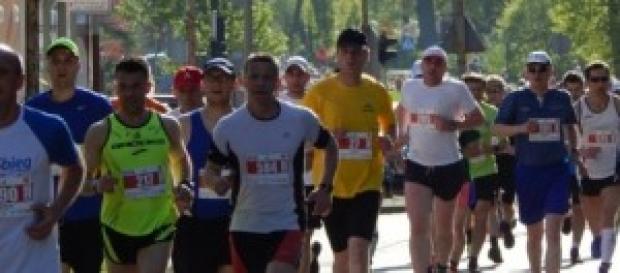 Maratón de Nueva York edición no. 44 Maratón de Nueva York edición no. 44