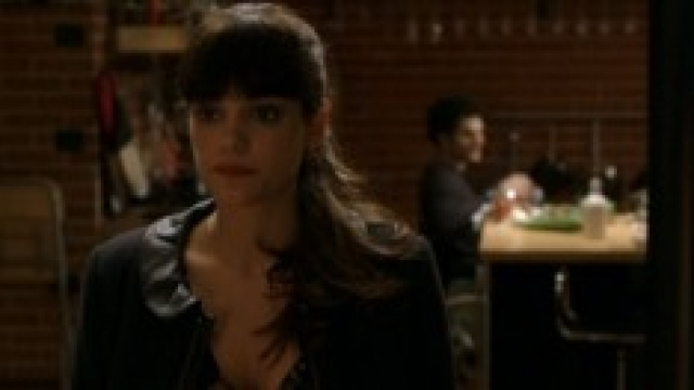 i cesaroni 6 ultima puntata francesco e nina