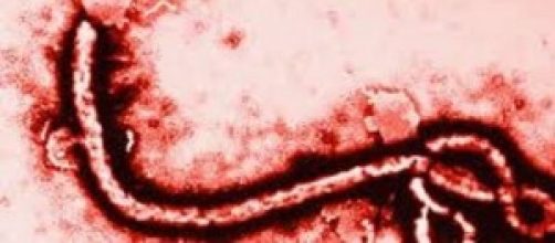 Virus Ebola Italia, news 14/11: Confturismo e Medu