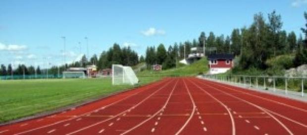 100 metros libres a cuatro patas 100 metros libres a cuatro patas