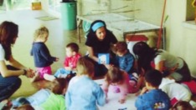 Concorsi/Offerte di lavoro 2014/2015: info