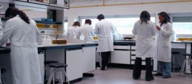 Seguro contra el cáncer, polémico Seguro contra el cáncer, polémico