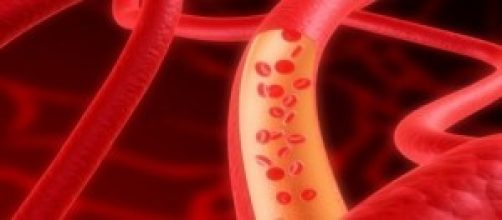 I vasi sanguigni conducono il sangue nel corpo.