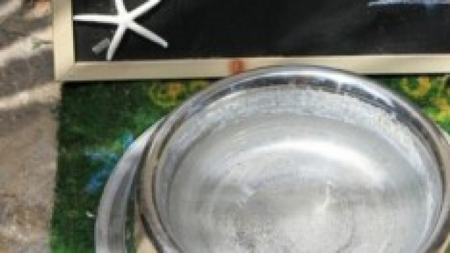 Ciotola per cani multata fuori da un bar