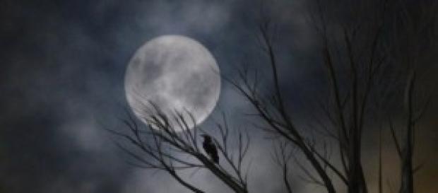 Capaz de reconocer el rostro de la luna Capaz de reconocer el rostro de la luna