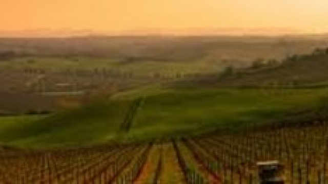 Un Chianti è il miglior vino italiano 2014