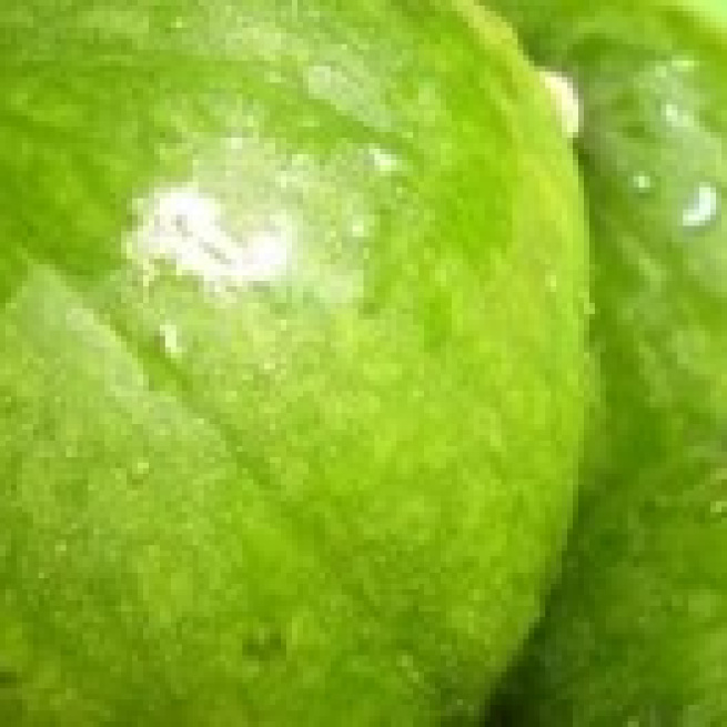 Gastronomía judía: zapallitos anguiate