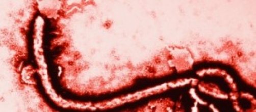 ebola, primo caso in italia