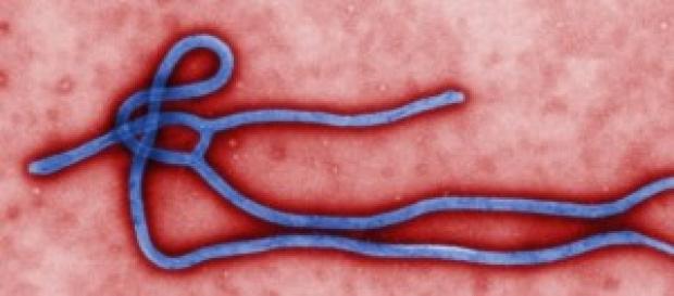 Ebola: il primo contagiato italiano è un medico. Ebola: il primo contagiato italiano è un medico.