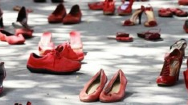 Giornata contro la violenza sulle donne 25/11