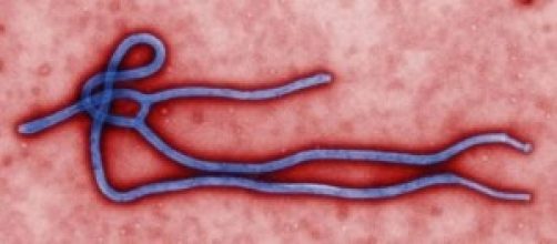 Medico Emergency positivo a virus ebola