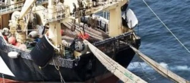 Il problema sono i mega pescherecci Il problema sono i mega pescherecci