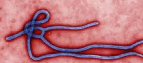 Ebola: è siciliano il primo paziente italiano.