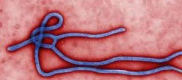 Ebola: è siciliano il primo paziente italiano. Ebola: è siciliano il primo paziente italiano.