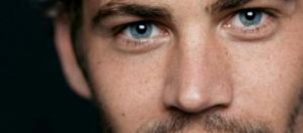 Paul Walker, se cumple 1 año de su fallecimiento. Paul Walker, se cumple 1 año de su fallecimiento.