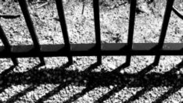 Amnistia e indulto 2014: ultime novità da Orlando