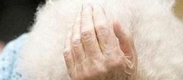 Ancora un caso di maltrattamenti su anziani Ancora un caso di maltrattamenti su anziani