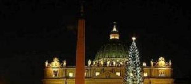 Calabrese l'abete bianco per piazza San Pietro. Calabrese l'abete bianco per piazza San Pietro.