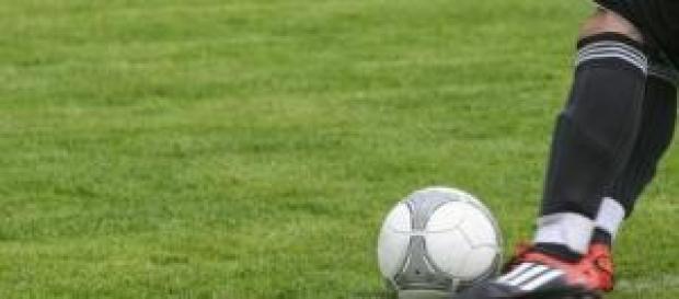 Serie B, verso il big match Bologna-Bari Serie B, verso il big match Bologna-Bari