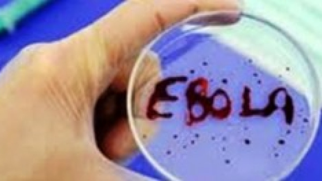 Il virus Ebola &egrave; il nuovo terrore dell'umanit&agrave;.