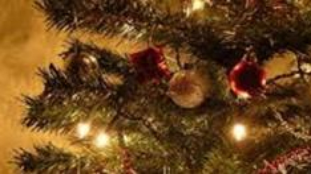 La crescita dell'e-commerce a Natale