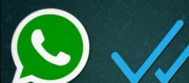 Nueva función de Whatsapp Nueva función de Whatsapp