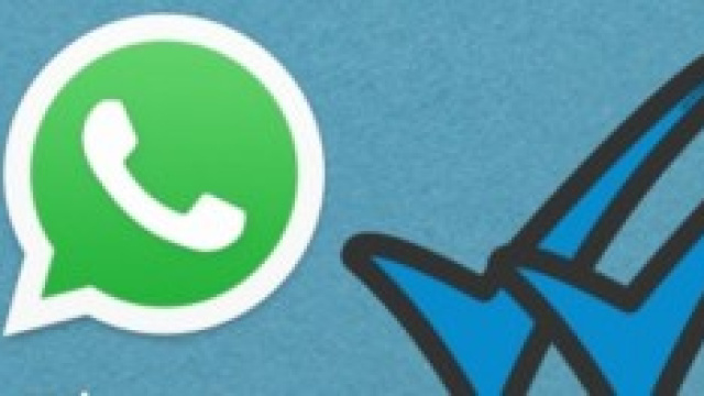 La doppia spunta azzurra 