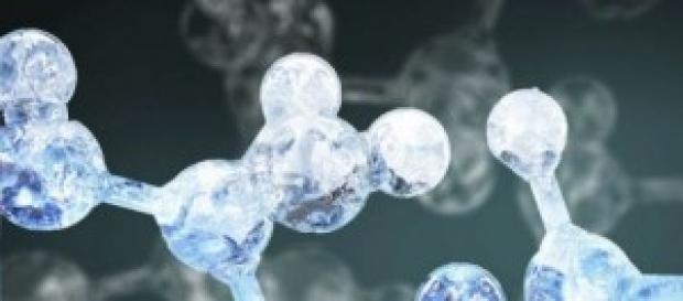Google permite almacenar nuestro ADN. Google permite almacenar nuestro ADN.