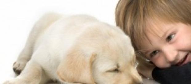 Animais de estimação promovem o bem-estar Animais de estimação promovem o bem-estar