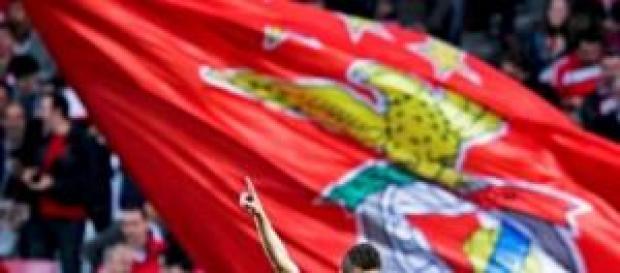 Benfica de consumo interno volta à liderança. Benfica de consumo interno volta à liderança.