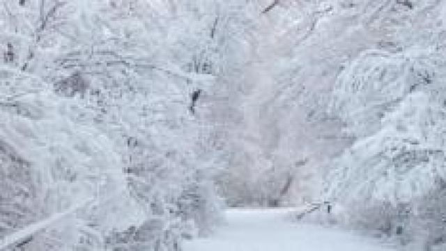 Meteo inverno 2015 aggiornamenti