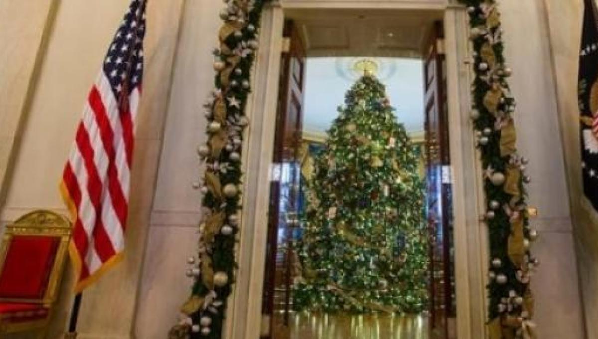 Albero Di Natale Washington.Di Chi E L Albero Di Natale Piu Bello Nessun Italiano In Top 10