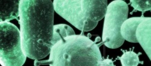 I superbatteri resistenti agli antibiotici