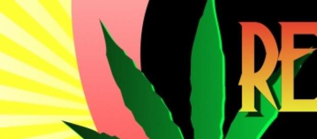 Cannabis, todo en su justa medida Cannabis, todo en su justa medida