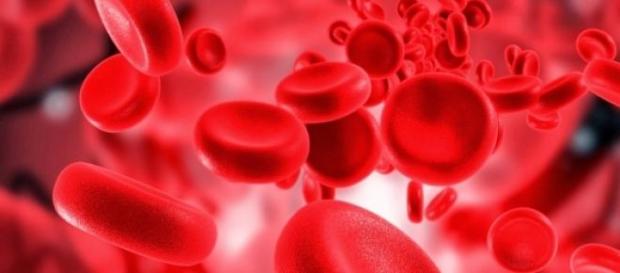 Hemoglobinas: células responsáveis pela oxigenação Hemoglobinas: células responsáveis pela oxigenação
