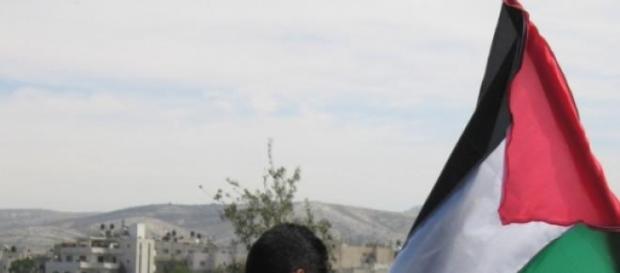 Les députés irlandais pour un Etat palestinien Les députés irlandais pour un Etat palestinien
